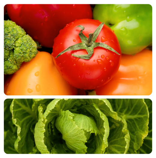 Tomates frescos